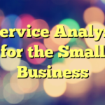 Service Analyst for the Small Business